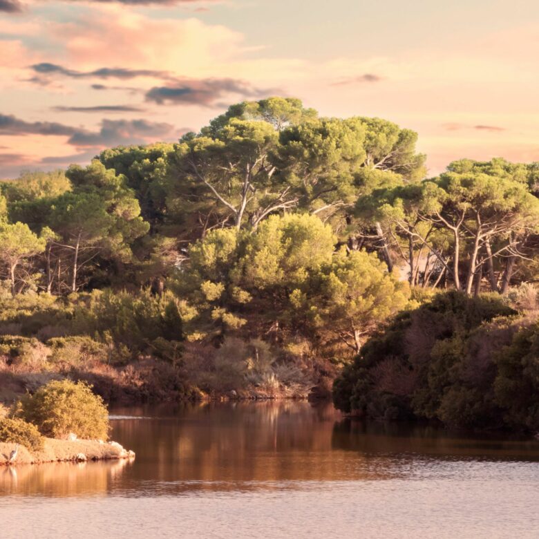 Découvrez les Îles de Lérins avec Home Serenity